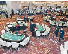 新葡萄(8883·AMG)免费版